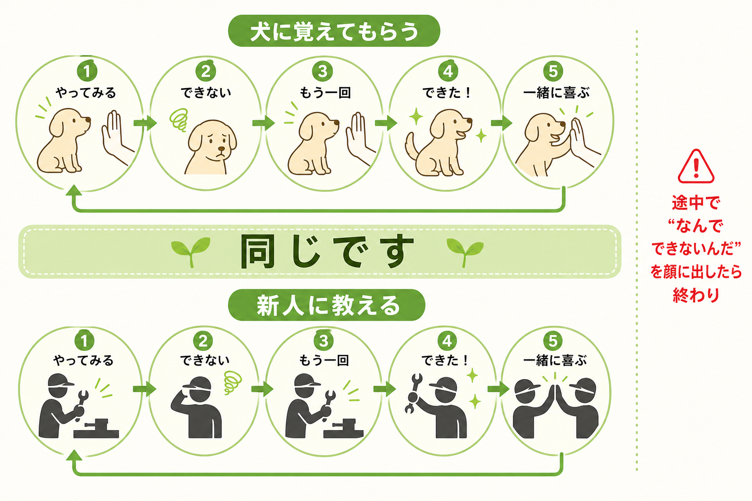 犬のしつけと新人指導が同じ繰り返しであることを示す図